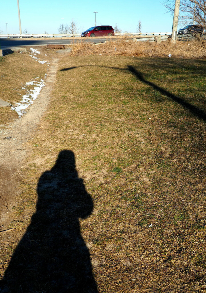my shadow by summerfield