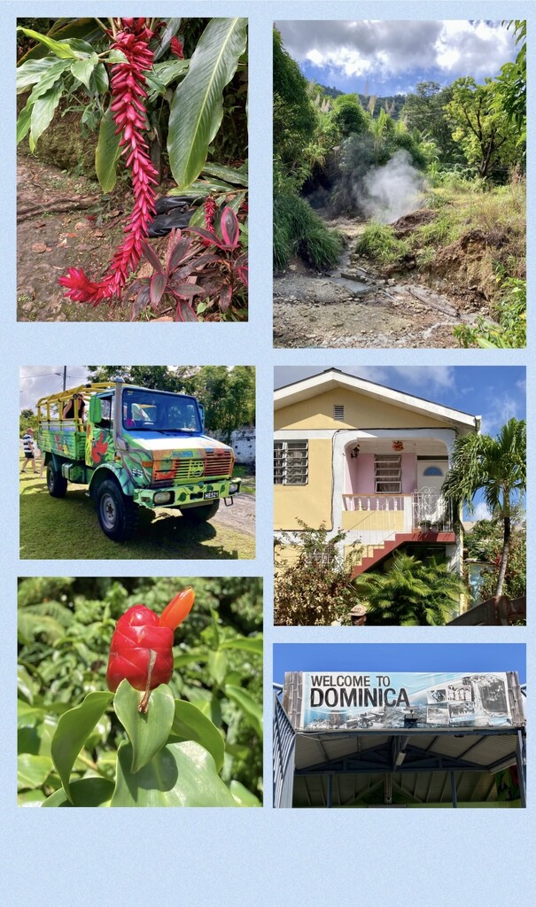Dominica  by bigmxx