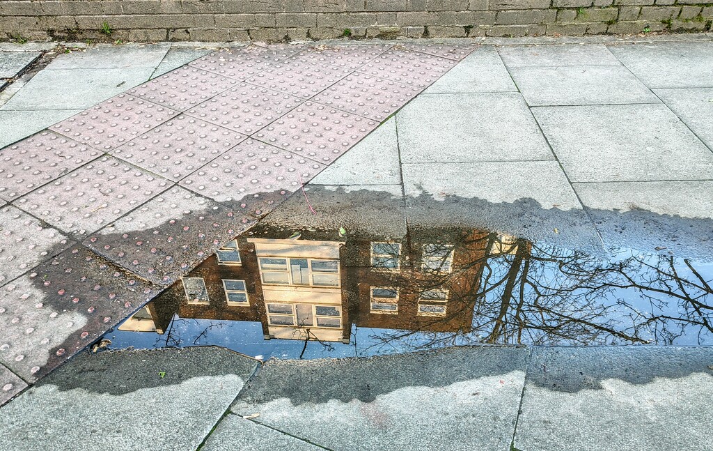 A world in a puddle  by boxplayer