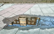 3rd Mar 2024 - A world in a puddle 