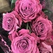 Purple Roses by peekysweets