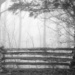 Fence, Fog