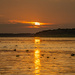 Amazon Sunset by nicoleweg