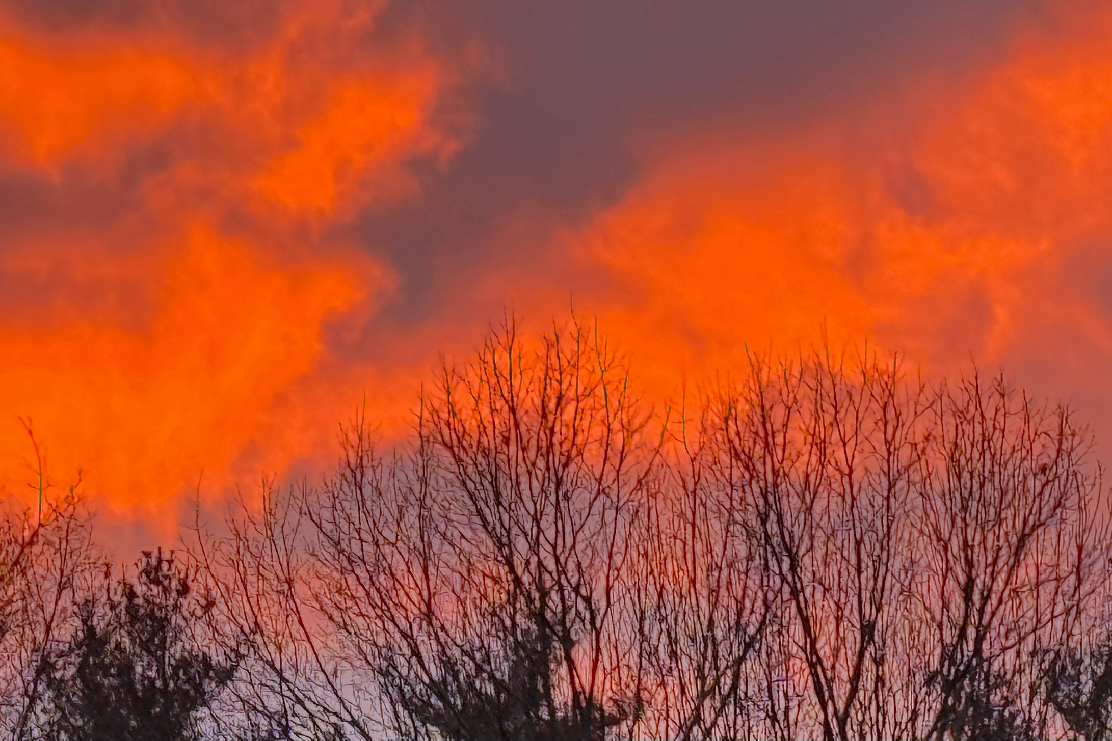 Fire In The Sky By Betsey 365 Project school-of-art-and-design-alumni-exhibition-2021-school-of-art