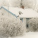 One Frosty Morning by farmreporter