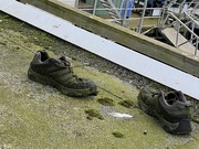 3rd Mar 2024 - Abandoned Runners