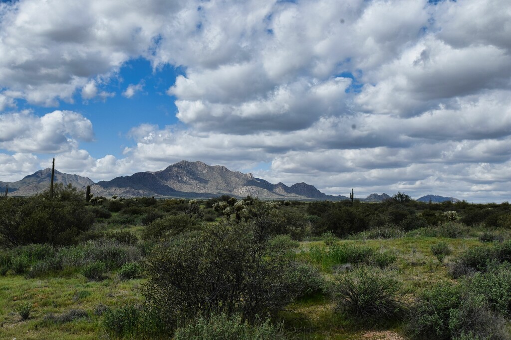 3 3 McDowell Mountains  by sandlily