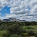 3 3 McDowell Mountains  by sandlily