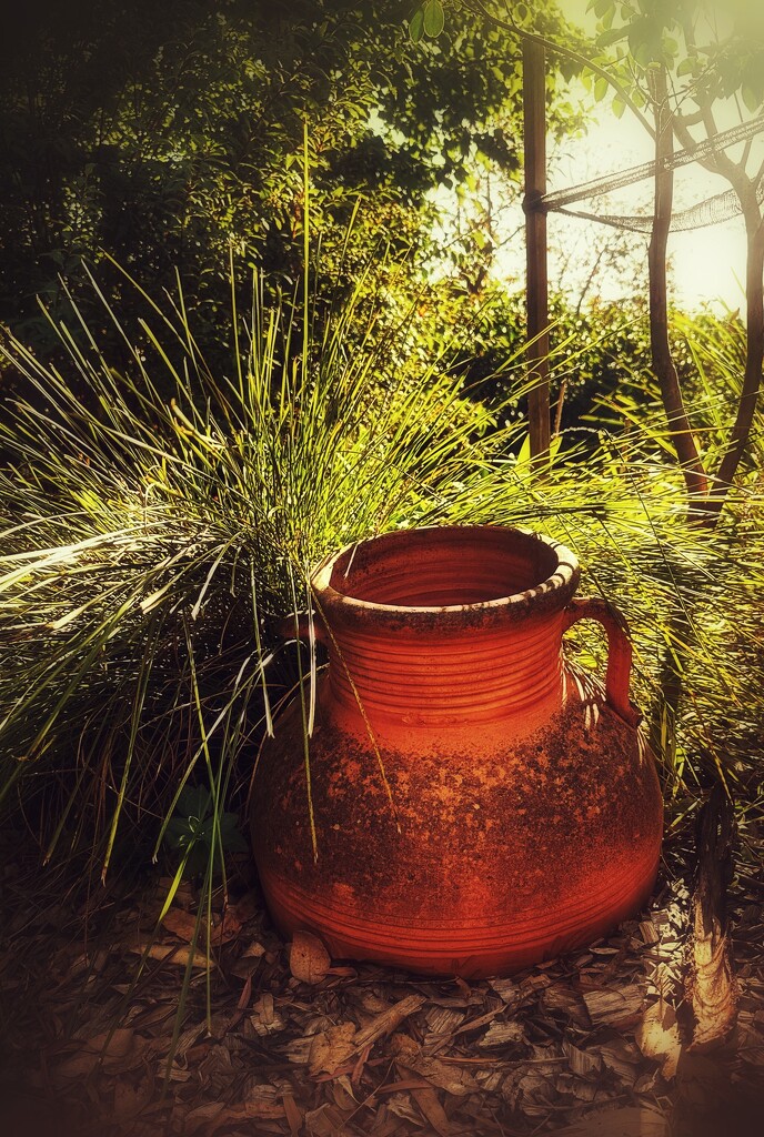 Pot in the garden by joluisebeth