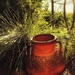 Pot in the garden by joluisebeth