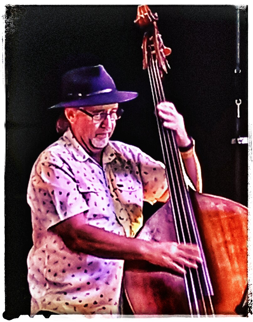 The Bass Player by aq21