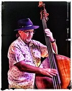 4th Mar 2024 - The Bass Player