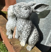 4th Mar 2024 - Rough rabbits enjoying the rare sunshine