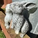 Rough rabbits enjoying the rare sunshine by tinley23