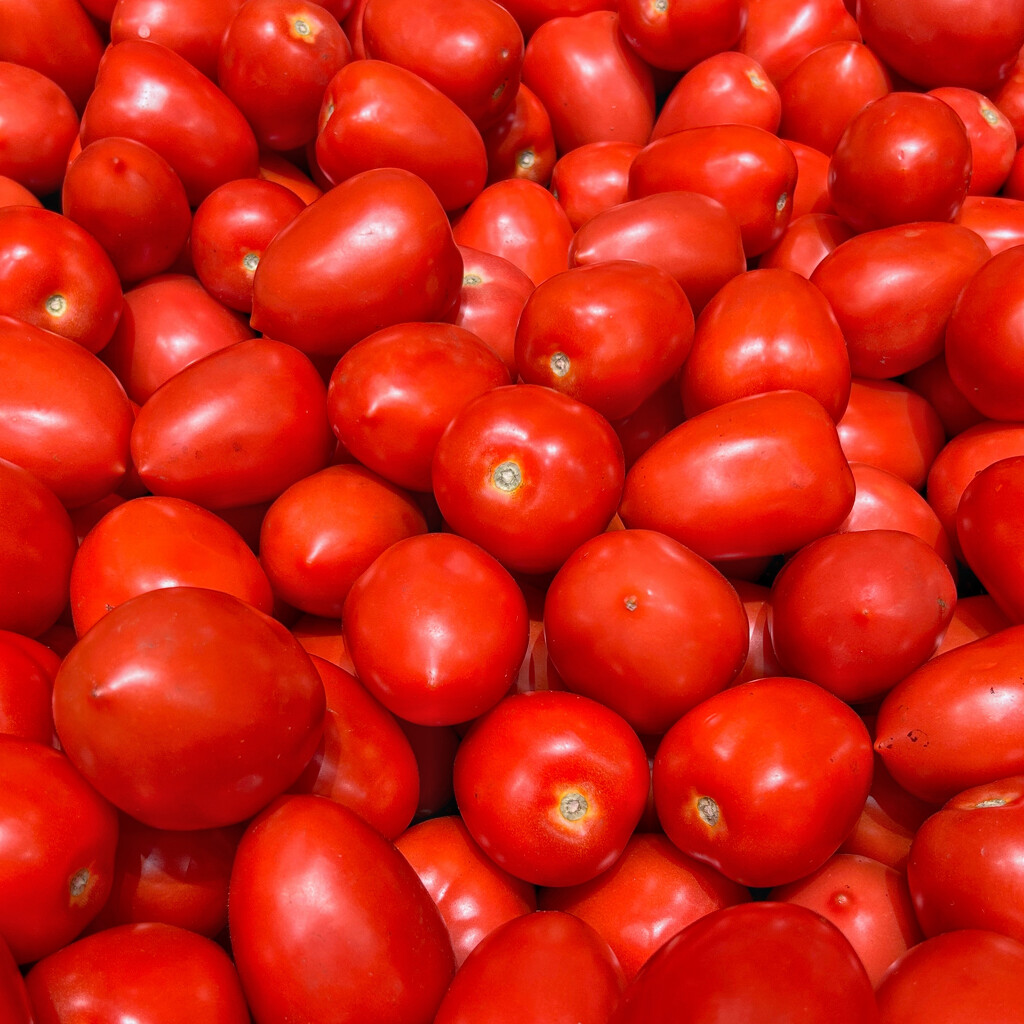 Tomatoes Anyone? by merrelyn