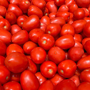 4th Mar 2024 - Tomatoes Anyone?