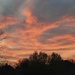 Texas Sunset by judyc57