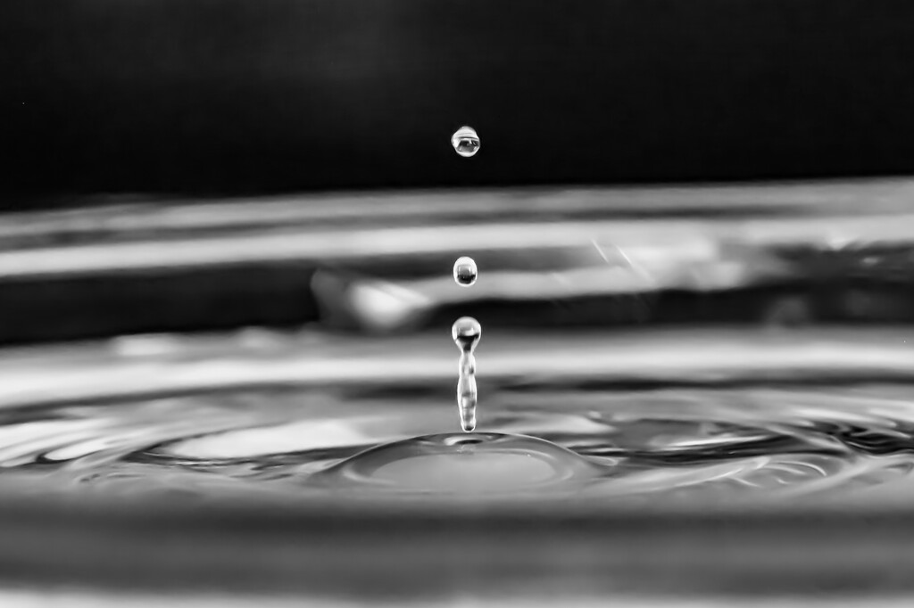 Black and White Water Drop by farmreporter