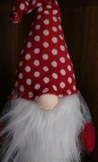4th Mar 2024 - A Gnome and his Hat