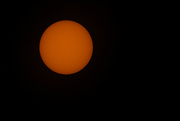 5th Mar 2024 - The sun threw a solar filter-2
