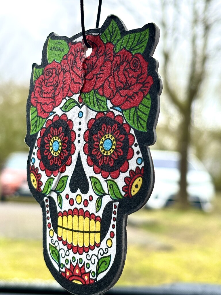 Day of the dead care freshener by lizgooster