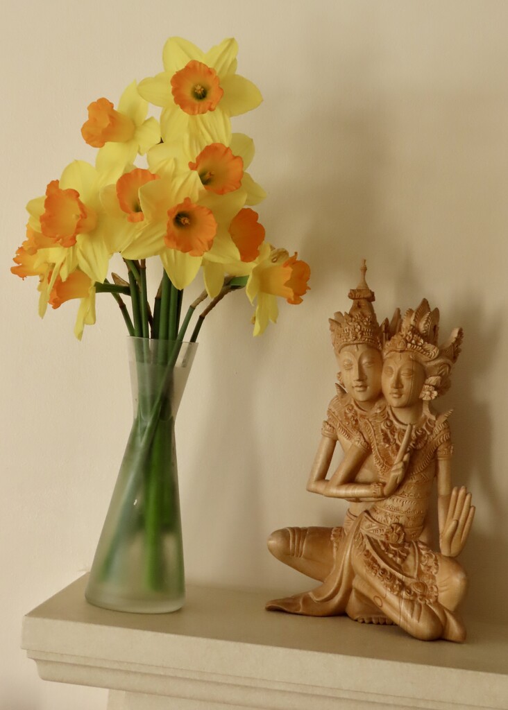 Rama and Sita with rescued daffs by orchid99