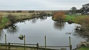 1st Mar 2024 - I do love a village pond