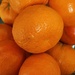 Orange by jacqbb