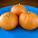 Tangerines by loweygrace