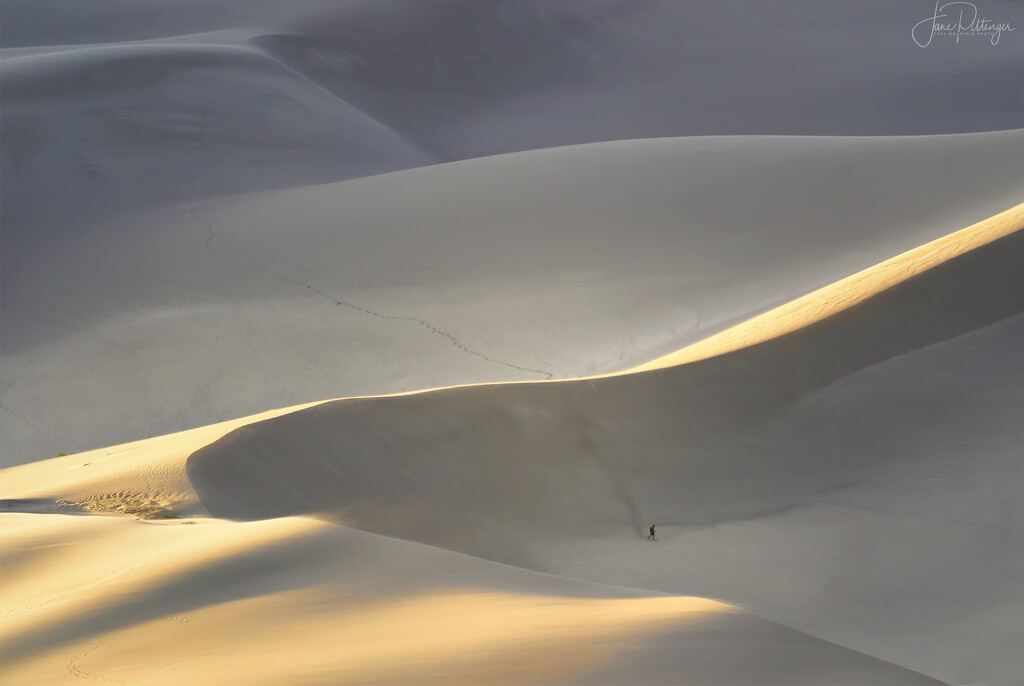 Dune Walker  by jgpittenger