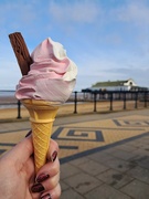 5th Mar 2024 - Day 65/366 Seaside Ice cream.