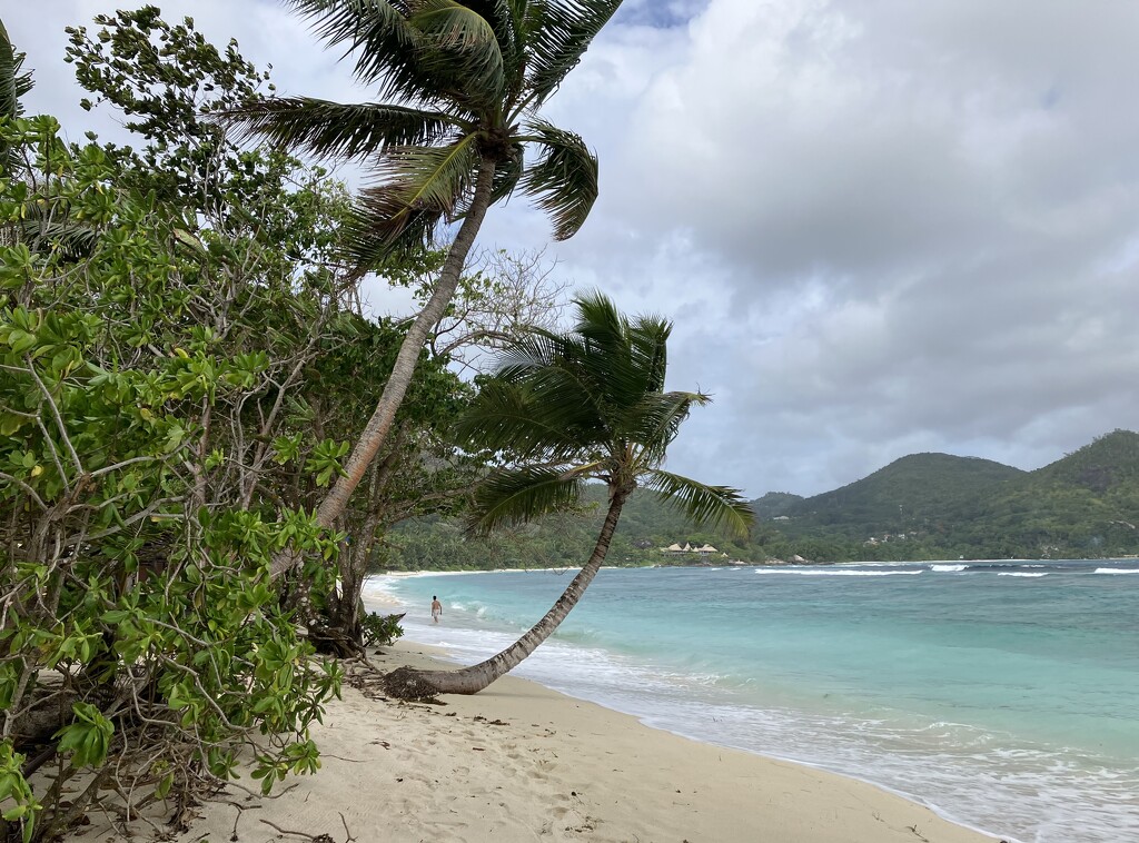 Idyllic Seychelles Beach by vincent24