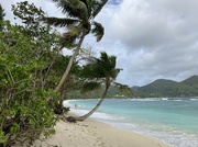 13th Sep 2023 - Idyllic Seychelles Beach