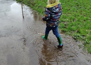 22nd Feb 2024 - Puddles