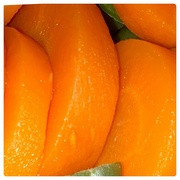 5th Mar 2024 - Orange Carrots 