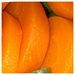 Orange Carrots  by spanishliz