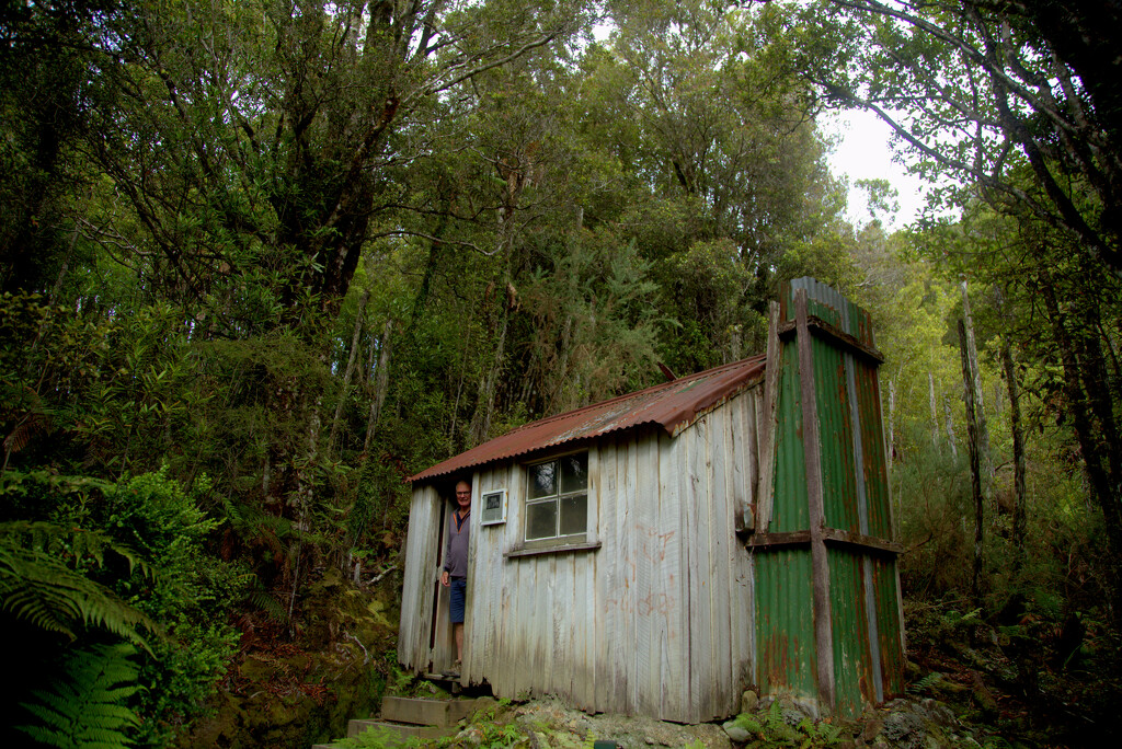 Goldminer's Hut, Ross. by dide