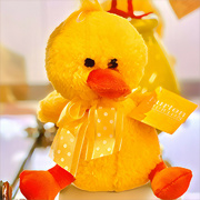 6th Mar 2024 - Yellow ducky 