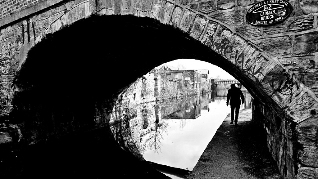 66/366 - Sheffield & Tinsley canal  by isaacsnek