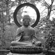 17th Feb 2024 - Buddha