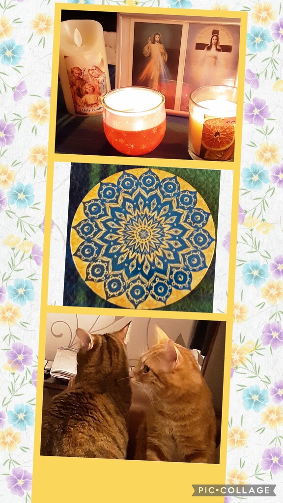 Candles, coaster, cats. by grace55