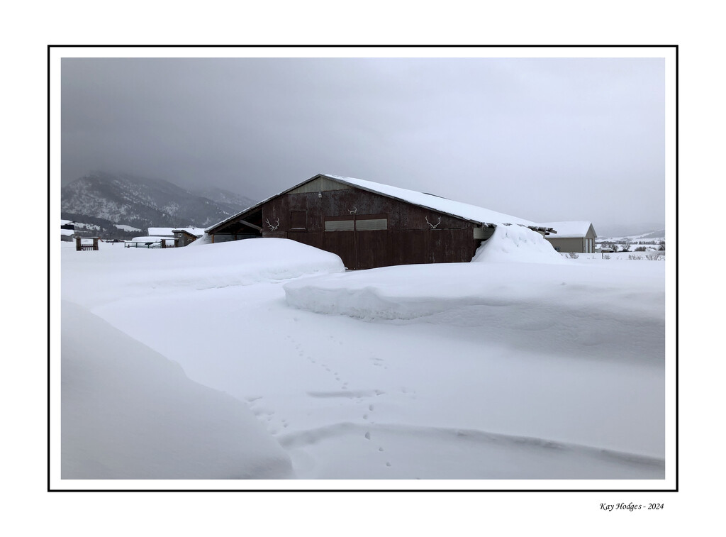 Snow Day - Barn by kbird61