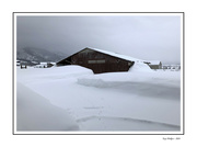 5th Mar 2024 - Snow Day - Barn