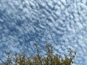 6th Mar 2024 - Clouds