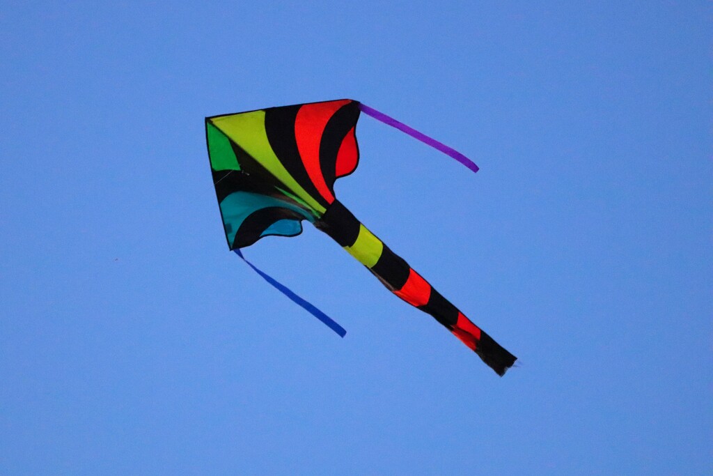 Bright Kite by princessicajessica