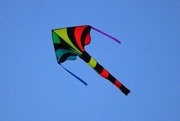 4th Mar 2024 - Bright Kite