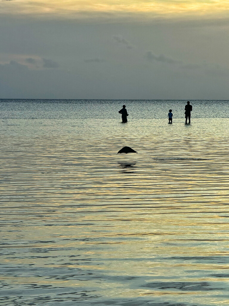 Fishermen and bat.  by cocobella