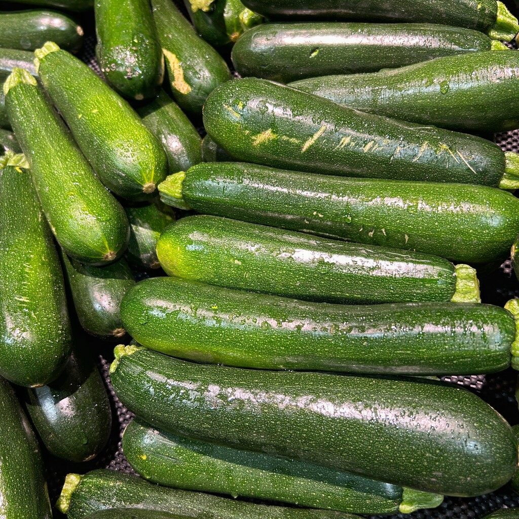 Zucchinis Today by merrelyn