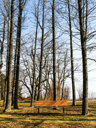 7th Mar 2024 - A bench in the park