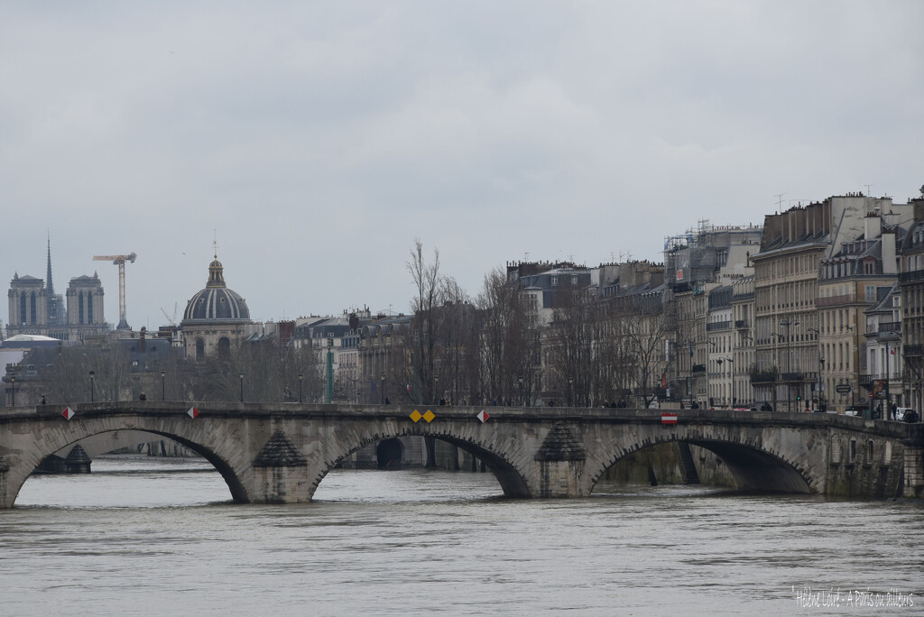 the spire of Notre-Dame de Paris is back! by parisouailleurs